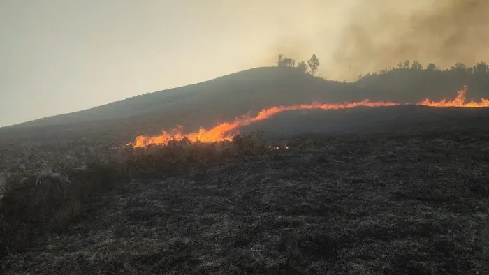 Sabana Dekat Bukit Teletubbies Kebakaran, Akses Bromo via Jemplang Ditutup