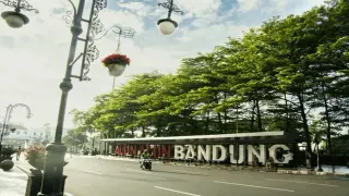 Aturan Penebangan Pohon di Bandung dan Sanksi Hukum bagi Pelanggar