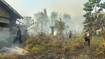 BMKG Deteksi 1.923 Titik Panas di Papua Tengah, Nabire 1.069 Hotspot, Langkah Menghadapi Ancaman Karhutla