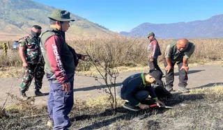 Kemenhut Usut Dugaan Tindak Pidana pada Kebakaran Berulang di Bromo