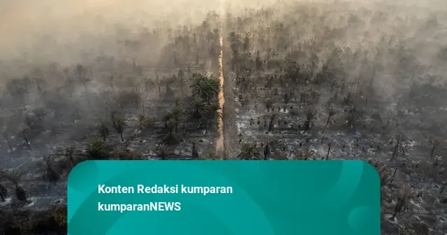 Karhutla di Muaro Jambi Berlangsung Lebih dari 20 Hari, Api Meluas Hampir 100 Hektare