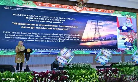 Fokus Pemeriksaan Tematik BPK untuk Mengawal Ketahanan Energi Nasional Semester II 2026