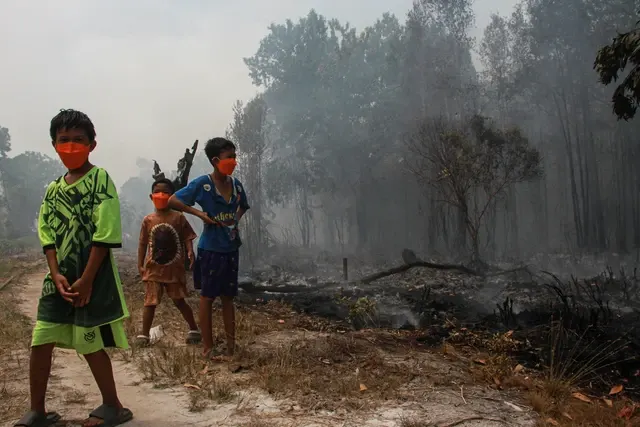 Rekomendasi IDAI untuk Lindungi Anak dari Paparan Kabut Asap Karhutla