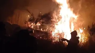 Kebakaran Hutan di Gunung Arjuno-Welirang Hanguskan 334 Hektare Lahan
