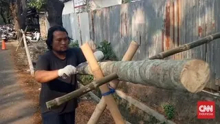 Permintaan Pohon Pinang di Tangerang Melonjak Menjelang HUT ke-81 RI