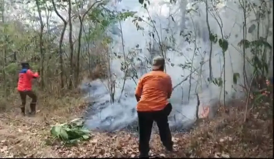 Kebakaran Hutan Gunung Ciremai Kuningan Meluas, Petugas Terkendala Medan Terjal