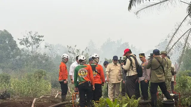 Izin 26 Perusahaan Pelaku Kebakaran Hutan Dibekukan, Dicabut Permanen?