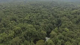Cara Mencegah Pelanggaran Hukum Kehutanan di Kawasan Konservasi