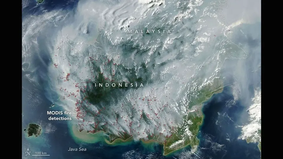 Akun NASA Soroti Kebakaran Hutan di Indonesia yang Meluas