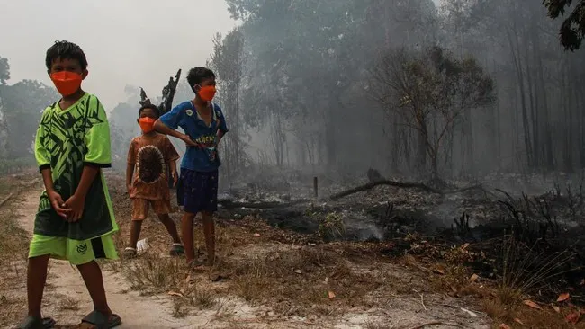 Kemenkes, Ada 50.891 Kasus ISPA Imbas Asap Karhutla Juli-Agustus 2026