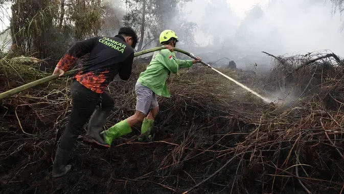 3 Juta Warga di 37 Kabupaten/Kota Terpapar Asap Karhutla, Kenali Risiko Kesehatan dan Langkah Antisipasinya