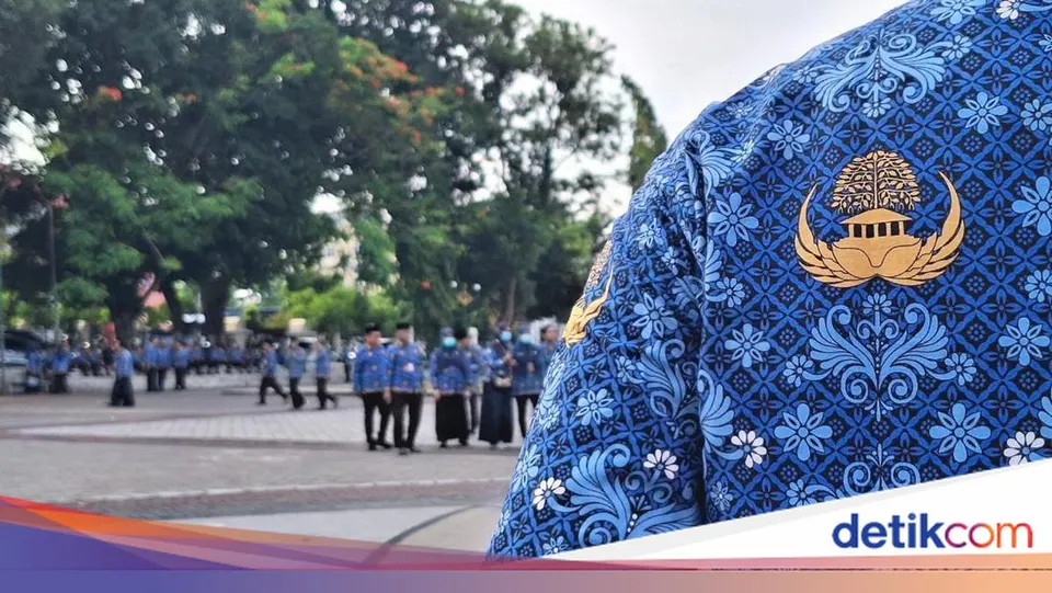 Proses Penetapan NIP CPNS dan NI PPPK Badan Kepegawaian Negara, Jalur Pantau dan Tahapannya