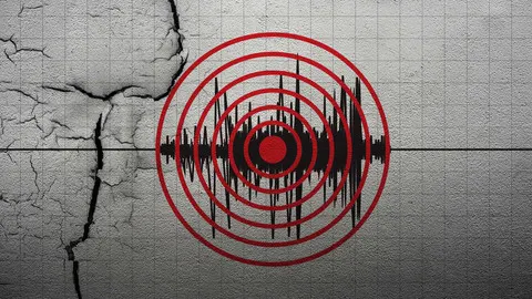 9 Gempa Bermagnitudo di Atas 4 Guncang Nagekeo NTT Pagi Ini
