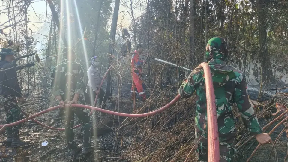 Kasus Kebakaran Hutan, 15 Korporasi Dibidik, 26 Izin Perusahaan Dibekukan
