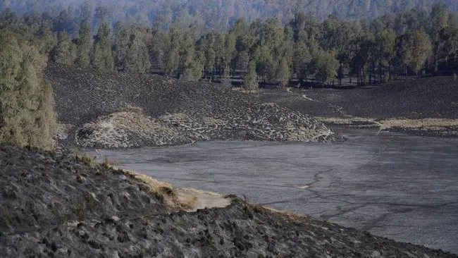 Savana Pengol Gunung Bromo Terbakar, Petugas Gabungan Dikerahkan Padamkan Api