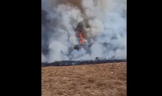 Kebakaran Lahan di Surya Kencana, Jalur Pendakian Gunung Gede Pangrango Ditutup Sementara