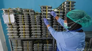 Cara Memastikan Dapur Makan Bergizi Gratis Bebas Bahan Subsidi Sesuai Aturan BGN