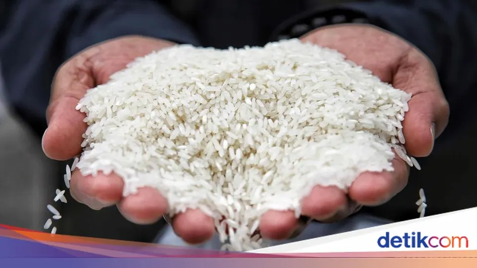 Update Harga Komoditas Pangan Nasional Panel Harga Bapanas dan Realisasi Pasokan
