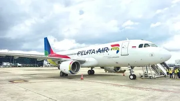 Pelita Air Tebar Promo Merdeka Surprice Diskon Tiket hingga 45 Persen