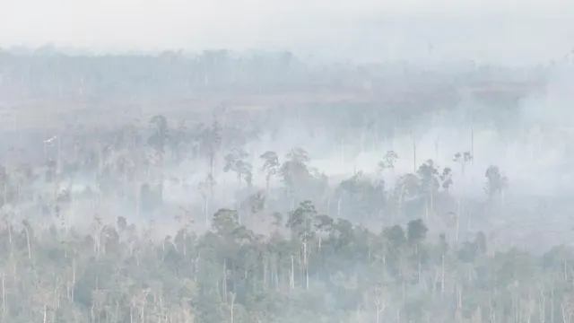 Kabut Asap Muncul Dekat Bandara, Penanganan Karhutla 8.900 Hektar di Kalimantan Selatan Diprioritaskan