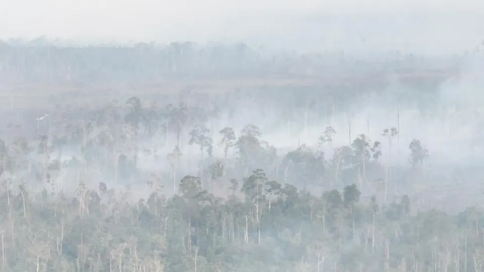 Kabut Asap Muncul Dekat Bandara, Penanganan Karhutla 8.900 Hektar di Kalimantan Selatan Diprioritaskan