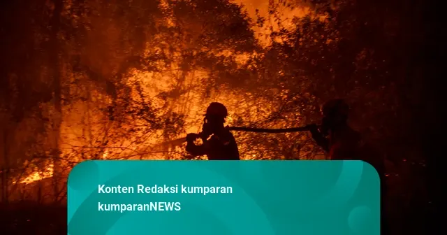 Kebakaran Lahan di Pemulutan Ogan Ilir, Petugas Gabungan Berjibaku Padamkan Titik Api