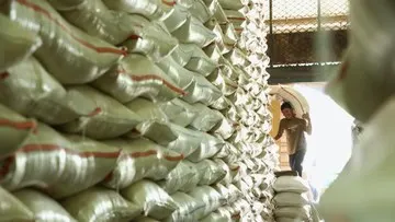 Stok Beras Melimpah, Pangan Korban Gempa NTT Dijamin Aman