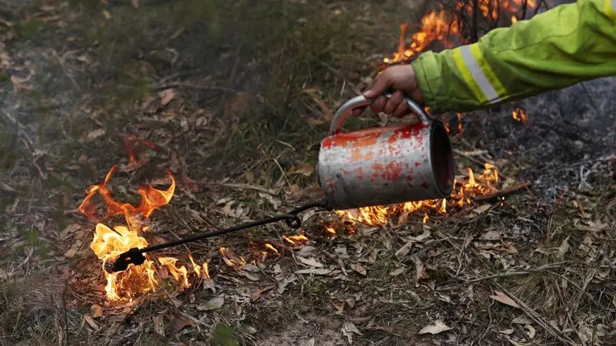 Belajar dari Pengalaman, Tetangga RI Siap-Siap Lawan Kebakaran Hutan