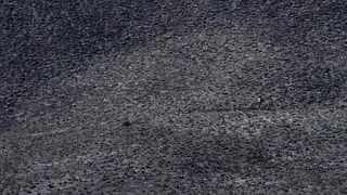Cegah Karhutla, BB TNBTS Setop Seluruh Izin Syuting di Kawasan Bromo