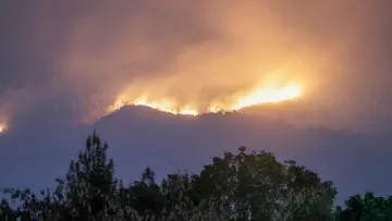 Kebakaran Gunung Arjuno-Welirang Capai 146 Hektare, Langkah Penanganan dan Ketentuan bagi Pendaki