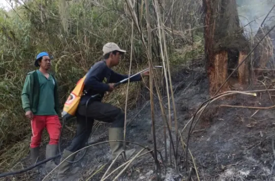 Kebakaran di Blok Ranu Kembang, Pendakian Gunung Semeru Ditutup Total