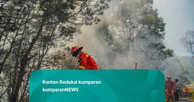 Kawasan TNBTS Terbakar, Kunjungan Wisata Gunung Bromo Ditutup Total