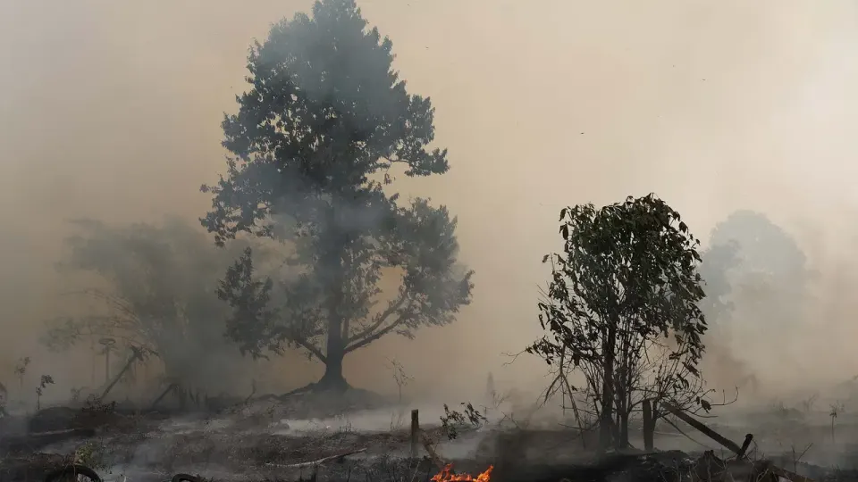 BNPB Intensifkan Penanganan Kebakaran Hutan, Kamera Thermal Dikerahkan