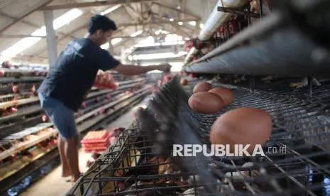 Perluasan Akses Pasar untuk Perkuat Investasi Industri Protein Nasional