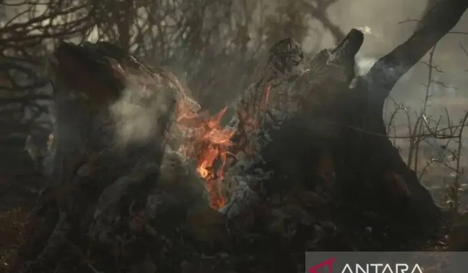 Dampak Kebakaran Hutan Ekstrem, Ledakan Amunisi di Prancis hingga Titik Api di Indonesia
