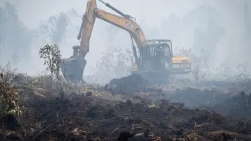 Hanura Dorong Sanksi Tegas Pelaku Karhutla, Sorot Dampak Asap hingga Malaysia