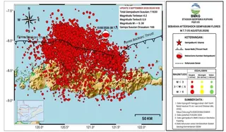 Dua Gempa Dangkal Guncang Flores, BMKG Catat 11.704 Susulan