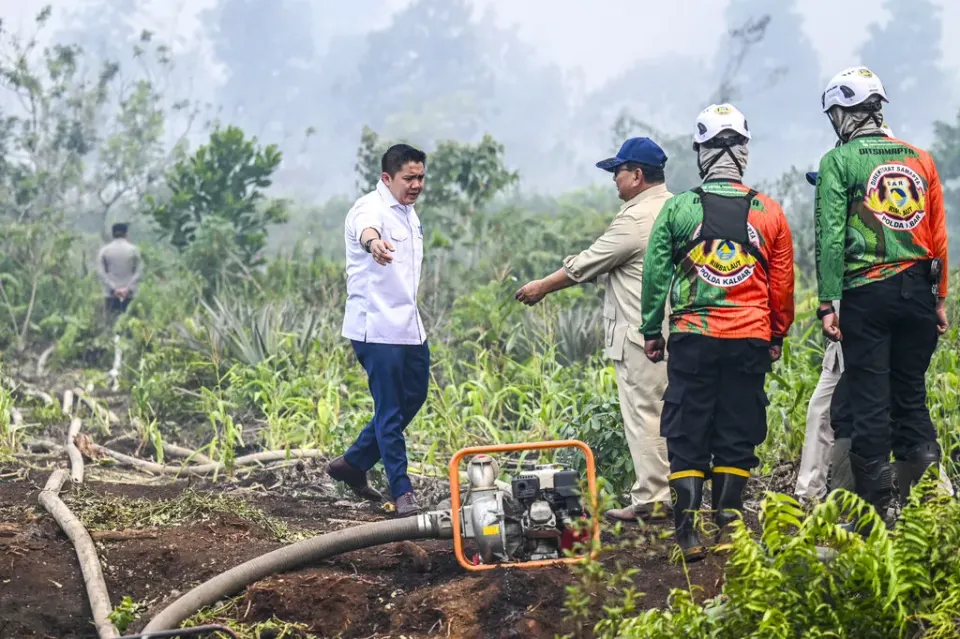 Pemerintah Selidiki Empat Korporasi Diduga Pembakar Hutan di Kalimantan dan Siapkan Penindakan Tegas