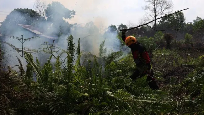Muhammadiyah soal Karhutla Kalbar, Bukan Alam, Tapi Bencana Ekologis