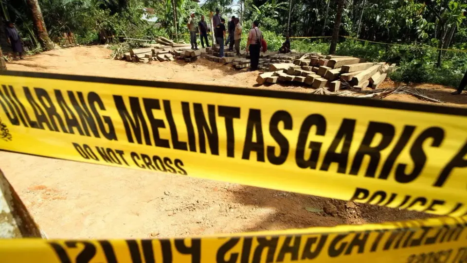 Kemenhut Tangkap Buron Pemodal Pembalakan Liar di Kalimantan Tengah
