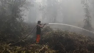 Masa Tanggap Darurat Karhutla di Kapuas Diperpanjang hingga 29 September