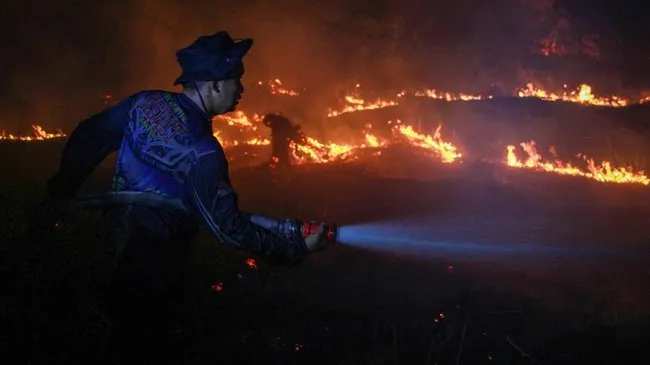 Anggaran Tipis, Anggota DPR Khawatir Daerah Bisa Atasi Karhutla