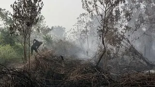 BNPB Catat 8.900 Hektare Lahan Terbakar di Kalsel dan Kerahkan Personel di Enam Provinsi