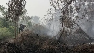 BNPB Catat 8.900 Hektare Lahan Terbakar di Kalsel dan Kerahkan Personel di Enam Provinsi