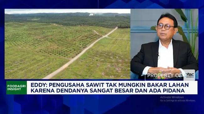 Kemarau Panjang Bikin Sungai Kering, Pengusaha Sawit Hadapi Hambatan Distribusi CPO