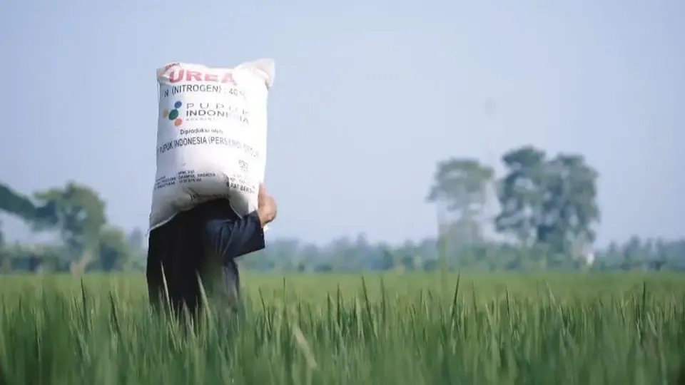 Penambahan Kuota Subsidi Pupuk Kementan Capai 9,5 Juta Ton untuk Petani