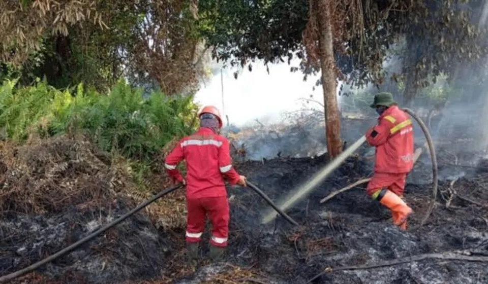 Karhutla Riau, Pekanbaru dan Pelalawan Naik Status Tanggap Darurat