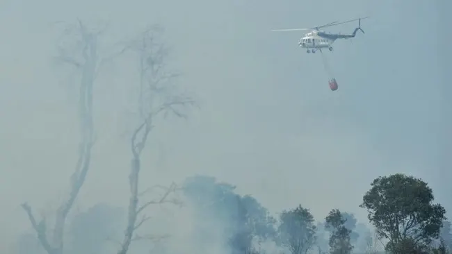 Helikopter Water Bombing Dikerahkan Padamkan Karhutla Gunung Ijen