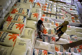 Mekanisme Penyaluran Bantuan Pangan Beras 10 kg Badan Pangan Nasional Tahap Kedua 2026
