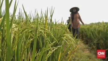 Perbaikan Tata Kelola dan Modernisasi Pertanian demi Ketahanan Pangan